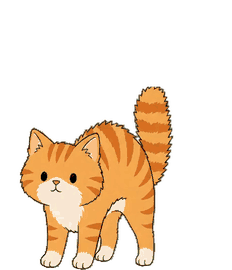 茶トラ 18