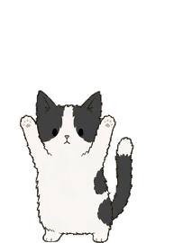 マンチカン 08