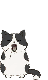 マンチカン 13