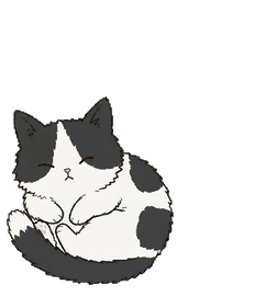 マンチカン 14