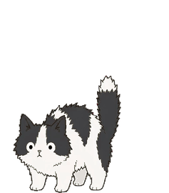 マンチカン 18