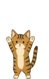 キジトラ 08
