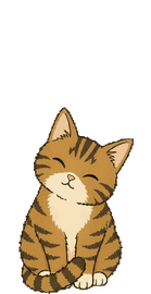 キジトラ 11