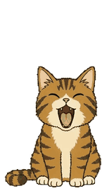 キジトラ 13