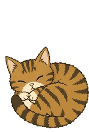 キジトラ 14