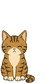 キジトラ 16