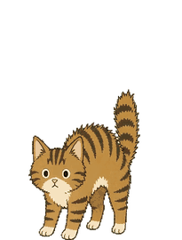 キジトラ 18