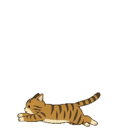 キジトラ 22