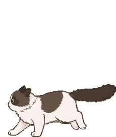 シールバイカラー・ラグドール 22