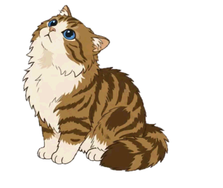 ミヌエット 10