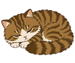 ミヌエット 14