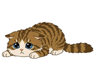 ミヌエット 15