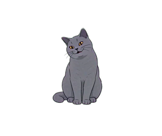 ブリティッシュショートヘア 02