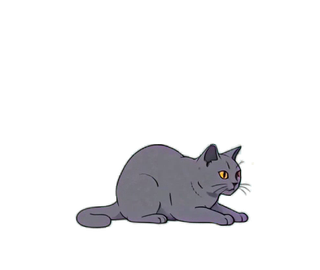 ブリティッシュショートヘア 07