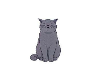 ブリティッシュショートヘア 20
