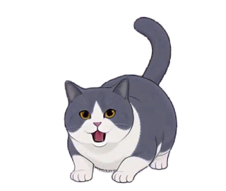 ハチワレ・ブリティッシュ 13