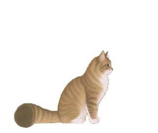 ノルウェージャン 14