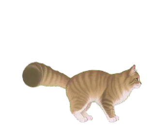 ノルウェージャン 15