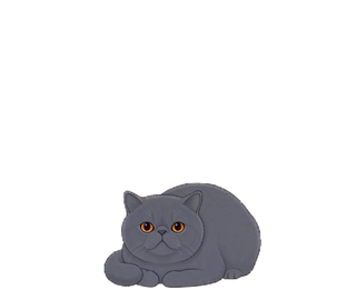 エキゾチック 03