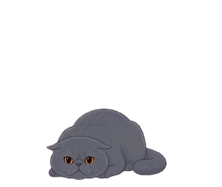 エキゾチック 04