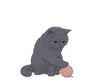エキゾチック 09