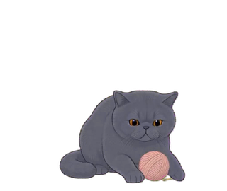 エキゾチック 10