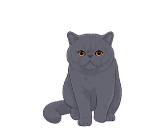 エキゾチック 11
