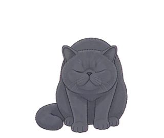 エキゾチック 12