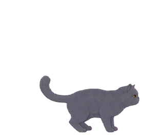 エキゾチック 16