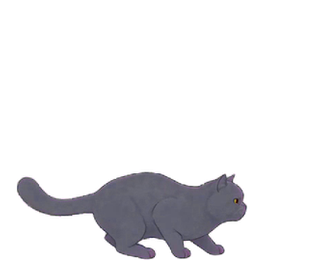 エキゾチック 20