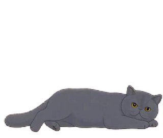 エキゾチック 23