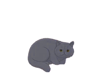 エキゾチック 24